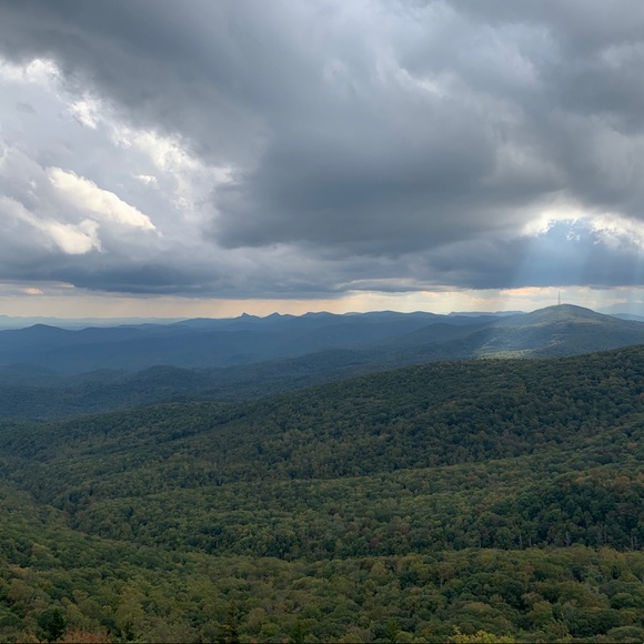 Meet your Posher, Preston - Picture 1 of 1